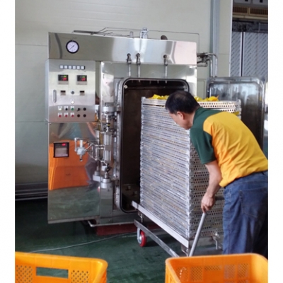 ���� ���